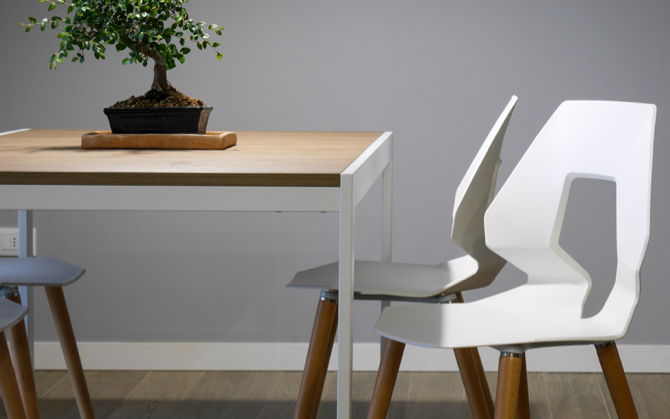 Modern dining chairs and table set accented with a bonsai tree.